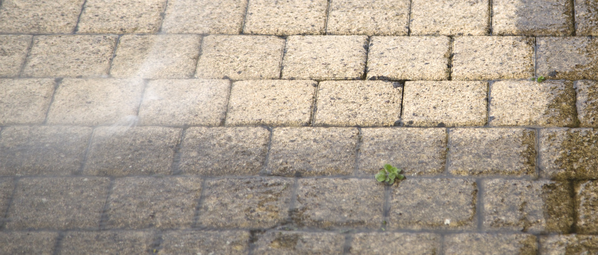 flagging and patios TW9