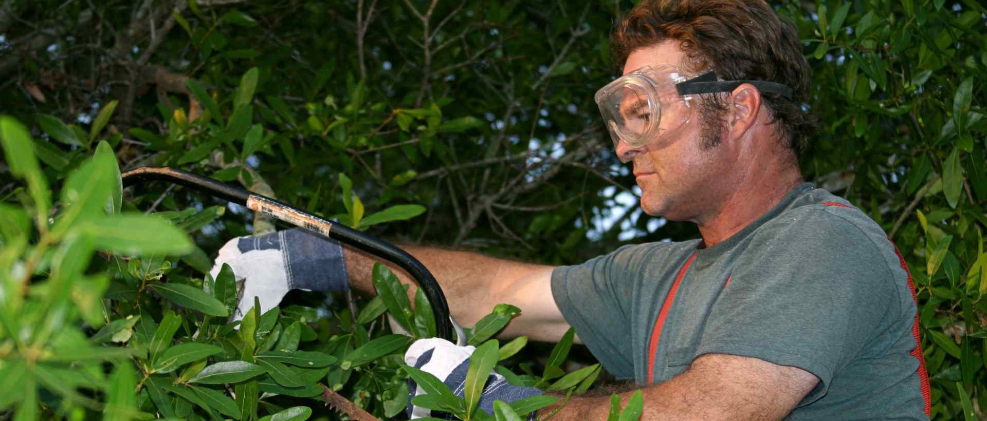 garden clearance TW9